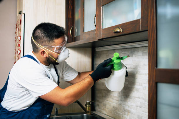 Best Local Pest Control Services  in Franklin Square, NY