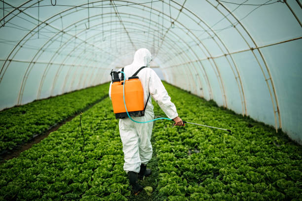 Professional Pest Control in Franklin Square, NY