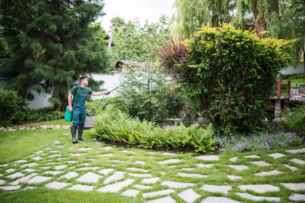 Best Affordable Pest Control Services  in Franklin Square, NY