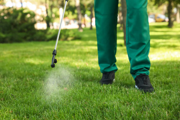Best Mosquito Control Services  in Franklin Square, NY