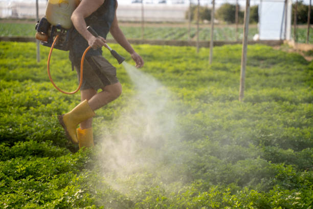 Best Best Pest Control Companies  in Franklin Square, NY