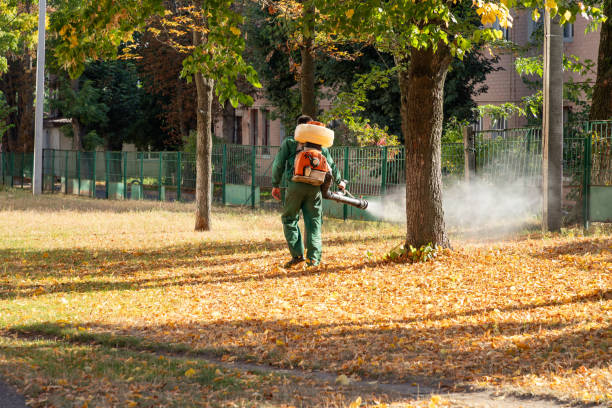 Best Commercial Pest Control Services  in Franklin Square, NY